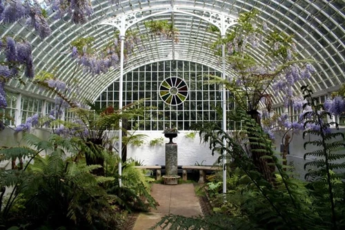 Garden In A Conservatory