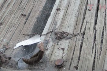Dry Rotted Deck Rotten Decking: How to Prevent & Fix Dry Rot | Decks.com