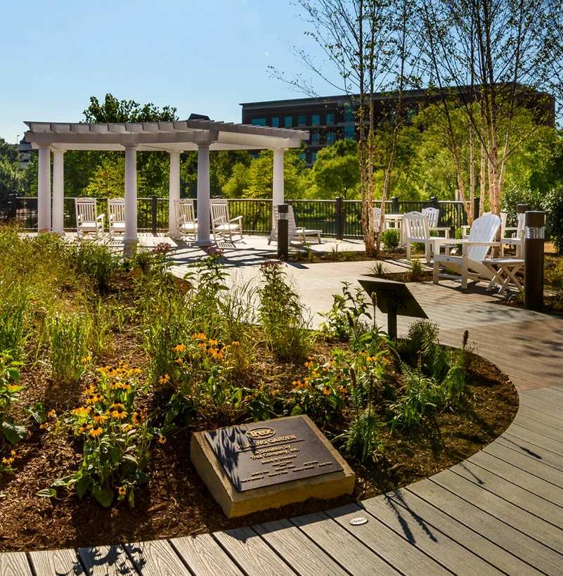 Pergola in an public setting