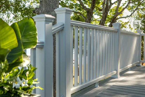 White Deck Railing With Plant In The Foreground