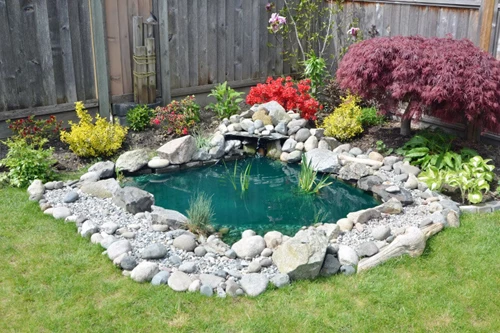 Kid Friendly Pond Installation With Fish