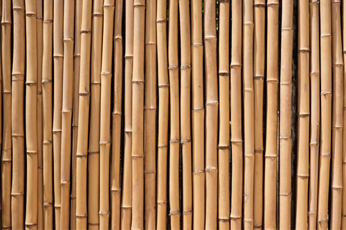Bamboo layed side-by-side to form a floor