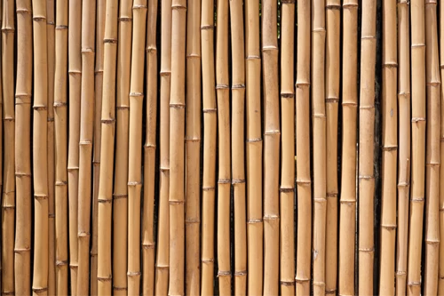 Bamboo layed side-by-side to form a floor