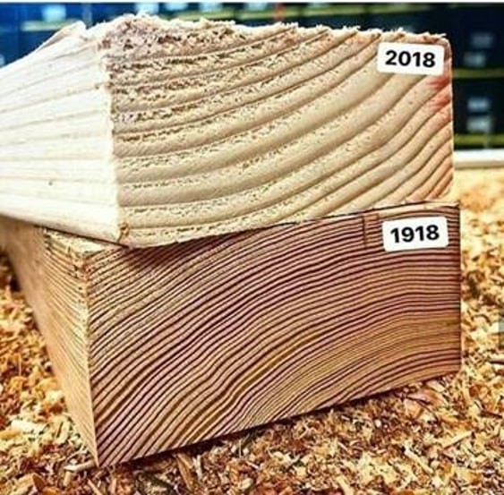 Why Today's Wood Needs Protection 1