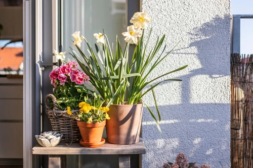 Colorful Potted Plants Decorating Deck In Patio Setting