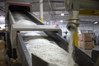 Shredded plastic flakes traveling on a conveyor belt on it's way to be pelletized