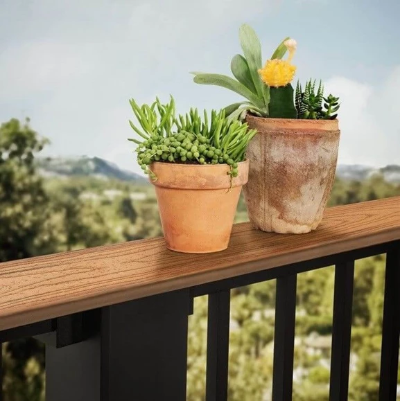 2 plants sitting atop of a metal railing